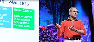 Pavan Sukhdev: Put a value on nature!