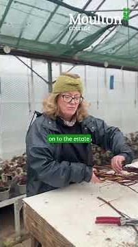 Marion RHS Level 2 Horticulture student