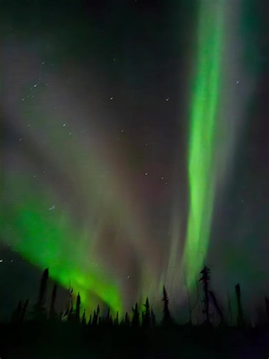 What my phone sees... versus what my nikon d750 sees! #Aurora #auroraborealis #northernlights #samsung #nikon #northpole #Alaska #alaskalife #nighttime #intothedark #phonevscamera