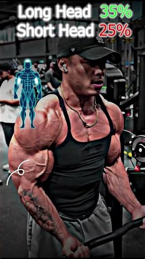 Barbell Curl #shorts #fitness #motivation #bicepsworkout