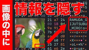 【データを読む】画像の中に秘密のメッセージを隠す方法