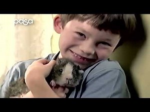 itv adverts vhs 3rd January 2005