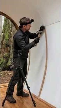 fallen trees are used as resting places #campping #survival #creativesurvival