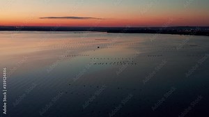 Mediterranean mussel farm in the Mar Piccolo of Taranto, Puglia, Italy