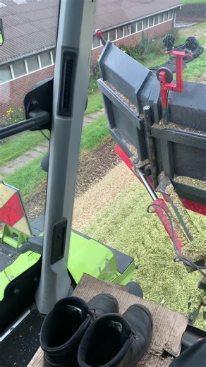 #xerion4000 #maisernte2021 #LUPape #claas #walze @marcelsteuer1 @michi6215