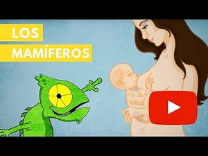 Los mamíferos | Camaleón