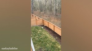 Huskies are known for being escape artists, Funniest Dogs Ever! #dogsofttiktok #dogsofinstaworld #dogsoffacebook #dogsofinstagram #dogsofinsta #dogsoftheday #dog #dogs #funny #funnydogs #husky #huskies | Pup Army