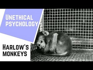 Unethical Psychology: Emotional Deprivation - Harlow's monkeys