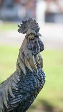 🤔 Which one would YOU get? D80 or D90?