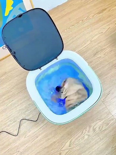 Mini Folding Washing Machine for Baby & Underwear | Portable, Powerful & Space-Saving!