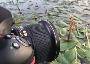 عکس برداری جالب با فوکوس اتوماتیک دوربین نیکون D850