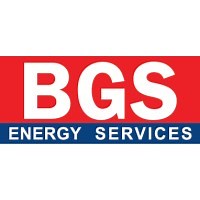 BGS Energy Services | LinkedIn