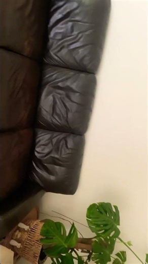 The 360 trend!! #lyrics #music #edit #song #cool