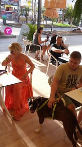 Woman interacts with blind man's service dog. | Tips & Tricks