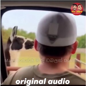 91K views · 1.8K reactions |  | ＰＡＮＤＯ | Facebook