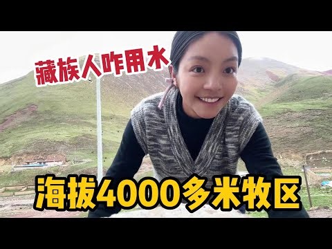 藏族姑娘在牧区生活，满山牦牛但用水不便，和嫂子囤水忙活半天