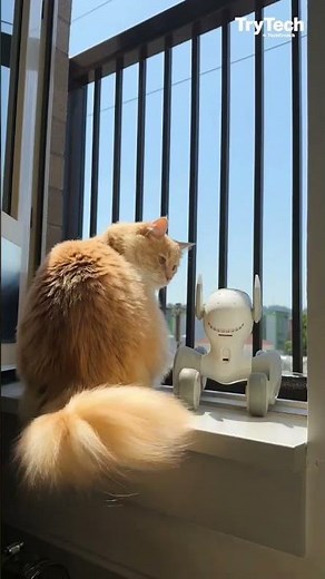 Loona the Petbot by KEYi TECH | TryTech | TechCrunch