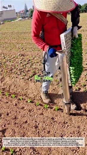 Amazing, This Tool Plants Perfect Rows in Seconds! 🌱