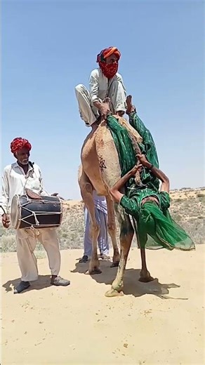 من قلب الصحراء: عرس أسطوري بطقوس عمرها قرون 🌵✨