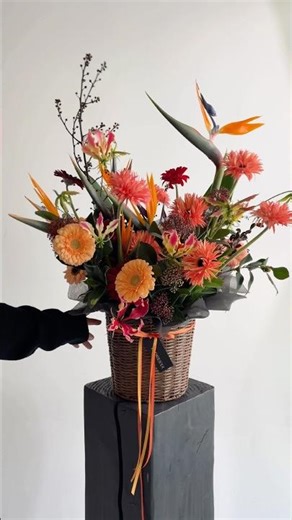 Strelitzia reginae | Gerbera | Gloriosa