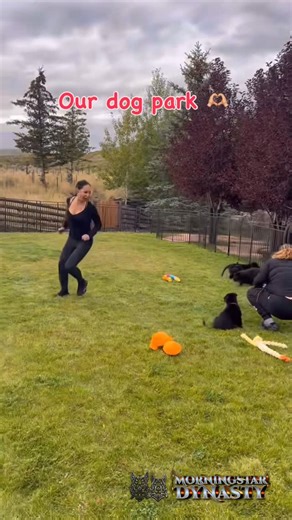 Lucifer & Lilith Morningstar on Instagram: "1st day was successful. They’re happy running around and being free 😁 This is my Disneyland 😂🐺👑🐾🖤💙❤️💖🩷💕🫶🏼 #cutedogsofinstagram #puppylove #hrd #gsd #germanshepherd #doggy #dogmomlife #doglife #love #royals #bestboy #goodestboy #pupper #germanshepherdpuppy #lifeelevated #royals #morningstardynasty #cutenessoverload #dog #lucifer #lucifermorningstar #lilith #love #furkids #furbaby #roadtrip #utah"