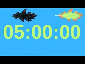 5 Hour Countdown Timer | 300 Minute Countdown for Study, Work, Focus & Productivity