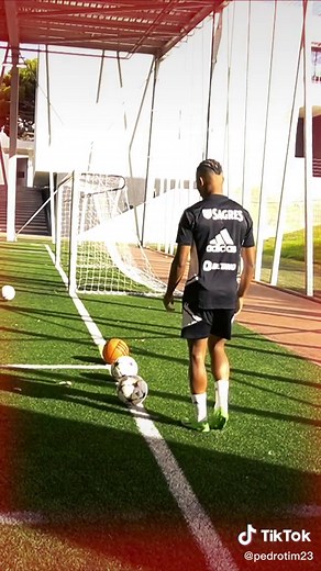 pedrotim23 on TikTok