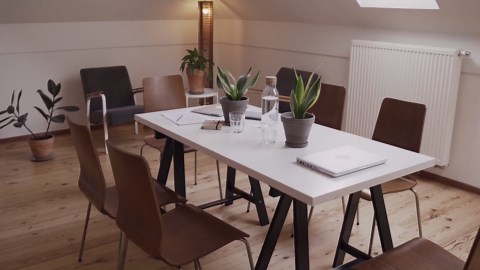 Keep your home green with these 7 cold-tolerant houseplants