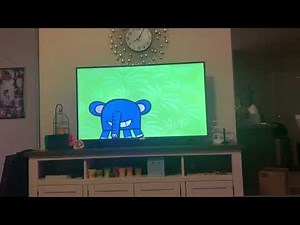 Wonder box - table, bird/ tomato, kangaroo and elephant, and cats.