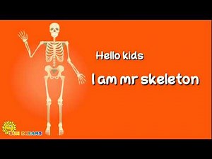 The Skeletal System - Educational Video about skeleton for Kids ||