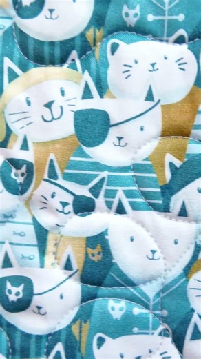 Pirate Kitty Quilt Reveal!