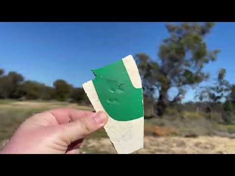 Walking the Old Fields of Pries Park, Kelmscott WA 🇦🇺