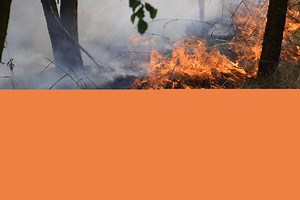 Aboriginal Fire Management: What is Cool Burning?