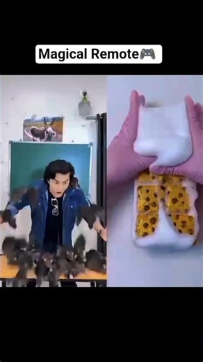 Magical Remote 🎮।। #funny #shorts #school #animals