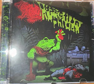 Frog Mallet - Dissection By Amphibian