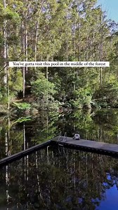 Have you visited Pemberton Pool? Pemberton Pool is a historic swimming pool constructed in the 1920’s for the families of timber workers. Surrounded by karri trees and nestled on the Lefroy Brook right in the centre of town, it’s an incredibly scenic spot for a summertime swim. Video by @wheres.vera (IG) | Perth is OK
