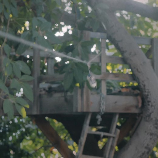 4.8K views · 15 reactions | "ONE OF SUMMER'S BIGGEST MOVIES." A24 presents MARCEL THE SHELL, see it in select theatres this Friday  | AMC Theatres | Facebook