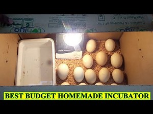 HOW TO MAKE EGG INCUBATOR AT HOME - BEST CHICKEN INCUBATOR With 100% EFFICIENT