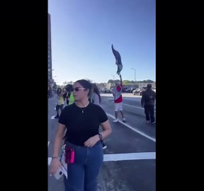 Los Angeles Protest: Police Clash with Palestinian Demonstrators