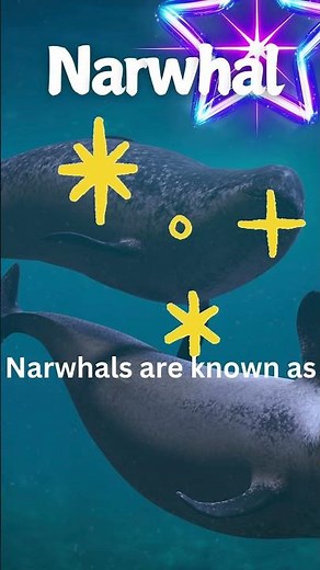 Narwhal Facts for Kids that will BLOW YOUR MIND