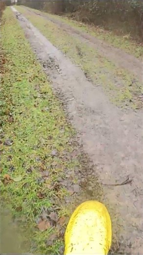 Second Ride Of My Suzuki RM 85