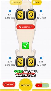 🇬🇧 Record Dog's Gait in 5 Seconds Tendiboots App Tutorial