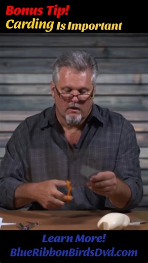 397 reactions · 9 comments | Quick Tip! Let's Talk Carding. 鸞  As always, you can learn more at www.blueribbonbirdsdvd.com ~ Matt | Blue Ribbon Birds - Taxidermy Training & DVD's by Matt Smith | Facebook