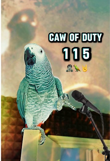 Metal Parrot’s Vocal Cover of 115 — Call of Duty Metal Parrotcore