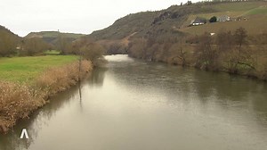 Rheinland-Pfalz Wetter vom 17.12.2024