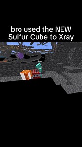 Minecraft Sulfur Cube X-Ray Test