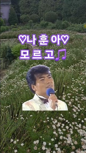 #나훈아 #나훈아노래 #나훈아노래모음 #트로트 #꽃