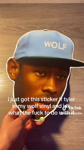 Creative Ideas for Using Tyler the Creator Sticker from Wolf Vinyl