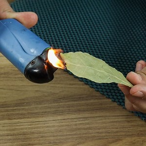 435K views · 11K reactions | Burn a bay leaf every day and the results will blow your mind! | Recipe Day U.S.A | Facebook