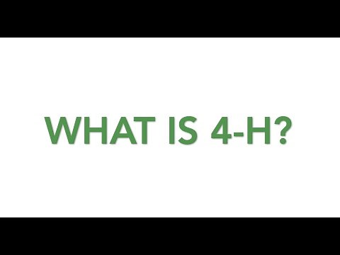 What is 4-H?